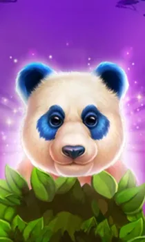 Luck Of Panda Bonus Combo