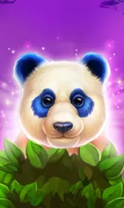 Luck Of Panda Bonus Combo