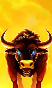 Big Wild Buffalo 2